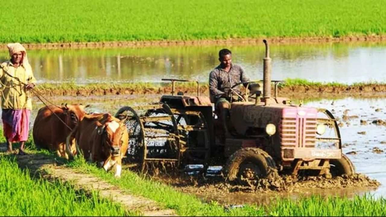 Agriculture Census: ખેડૂતો માટે મોટા સમાચાર - કૃષિ સેન્સસ શરૂ થશે, ડેટા એન્ટ્રી સીધી ફોન અને ટેબલેટમાં થશે