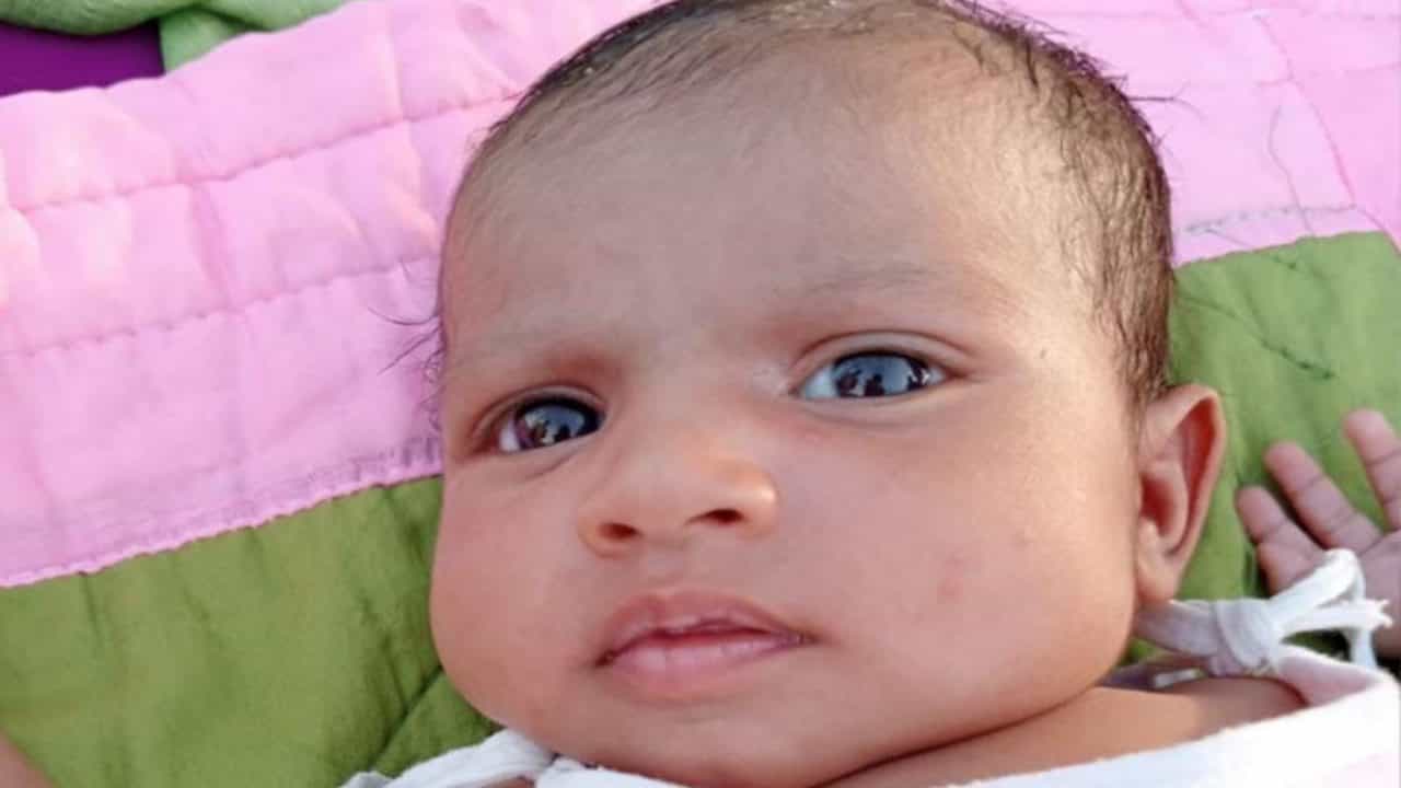 ભાવનગરમાં અરેરાટીભરી ઘટનાઃ ઘરમાં સુતેલી બાળકીને કુતરું ઉઠાવી ગયું, અનેક જગ્યાએ બચકાં ભરી લેતાં બાળકીનું મોત