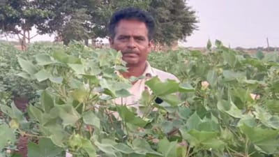 Surendranagar: ભણતર નહીં ગણતરના આધારે ઝાલાવાડના ખેડૂતે કરી કમાલ, ધરતીમાંથી પકવ્યું કાચું સોનું