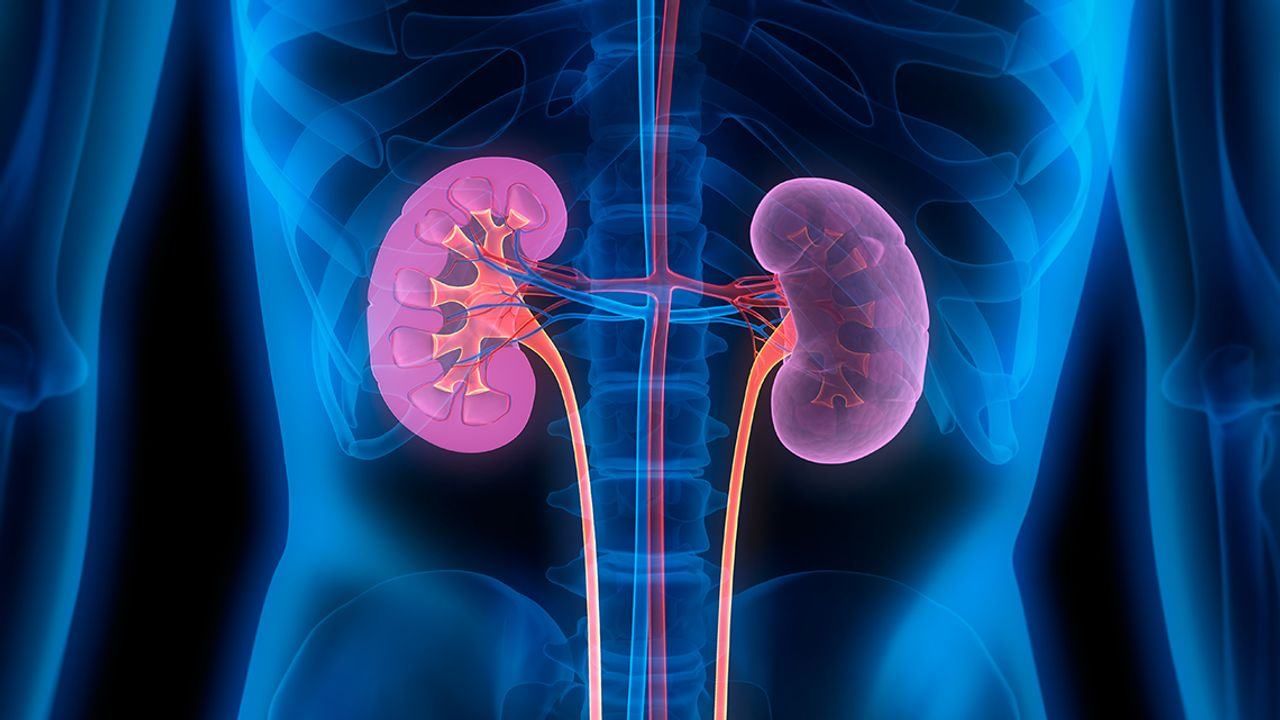 Kidney Problem : જાણો દિનચર્યાની એ પાંચ આદતો વિષે જે તમારી કિડનીને પહોંચાડે છે નુકસાન