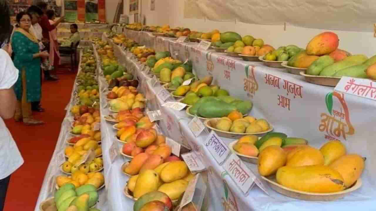 લખનૌના Mango Festival માં મુખ્યમંત્રી યોગીના નામથી કેરીની વિવિધતા યોગી નૌબહારની ચર્ચા, હુસનારા અને મલ્લિકાની સુંદરતા