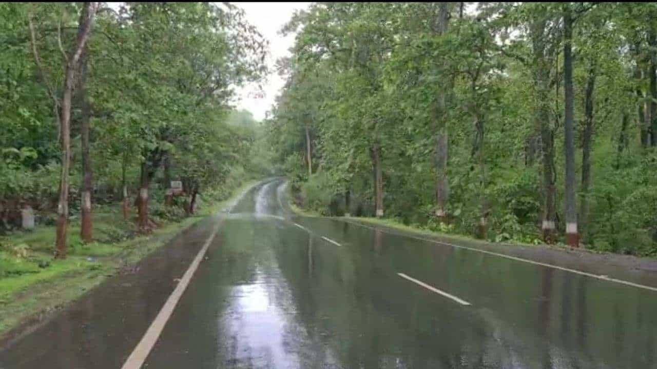 દક્ષિણ ગુજરાતમાં સાર્વત્રિક વરસાદ, સાપુતારામાં વિઝિબ્લિટીમાં ઘટાડો થયો, નવસારીમાં નીચાણવાળા વિસ્તારીમાં પાણી ભરાયા