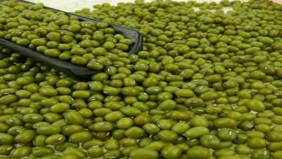 Gandhinagar: મગની ખરીદી માટે સરકાર તૈયાર, આગામી 21 જૂલાઇથી કરવામાં આવશે ટેકાના ભાવે ખરીદી