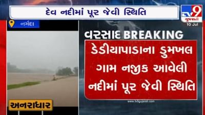 નર્મદાઃ ડેડિયાપાડામાં મહારાષ્ટ્રને જોડતા પુલ ઉપર ફરી વળ્યું પાણી, જુઓ વીડિયો નર્મદાઃ ડેડિયાપાડામાં મહારાષ્ટ્રને જોડતા પુલ ઉપર ફરી વળ્યું પાણી, જુઓ વીડિયો