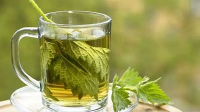 Belly Fat : પેટની હઠીલી ચરબી દૂર ન થાય તો આ ખાસ પ્રકારની ચા અજમાવો, પેટ થોડા જ સમયમાં સપાટ થઈ જશે