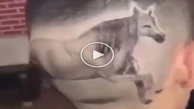 Funny Video: બોલો માથા પર ઘોડો ! અનોખી સ્ટાઈલમાં કપાવ્યા વાળ, વીડિયો જોઈને લોકો લઈ રહ્યા છે મજા