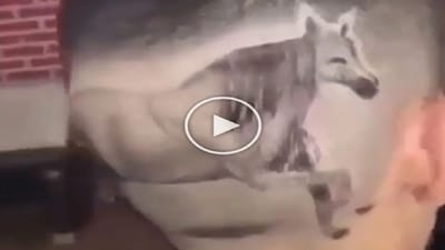 Funny Video: બોલો માથા પર ઘોડો ! અનોખી સ્ટાઈલમાં કપાવ્યા વાળ, વીડિયો જોઈને લોકો લઈ રહ્યા છે મજા