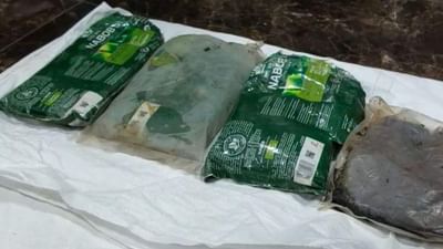 ગુજરાતમાં ચરસ ઘૂસાડવાની કોશિશને નિષ્ફળ બનાવતા SOGએ  માંગરોળમાંથી ચરસનો 6 કિલોનો જથ્થો ઝડપ્યો