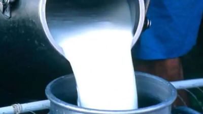 રાજકોટમાં સફેદ દૂધના કાળા કારોબારનો પર્દાફાશ, LCB એ બે શખ્શની કરી અટકાયત