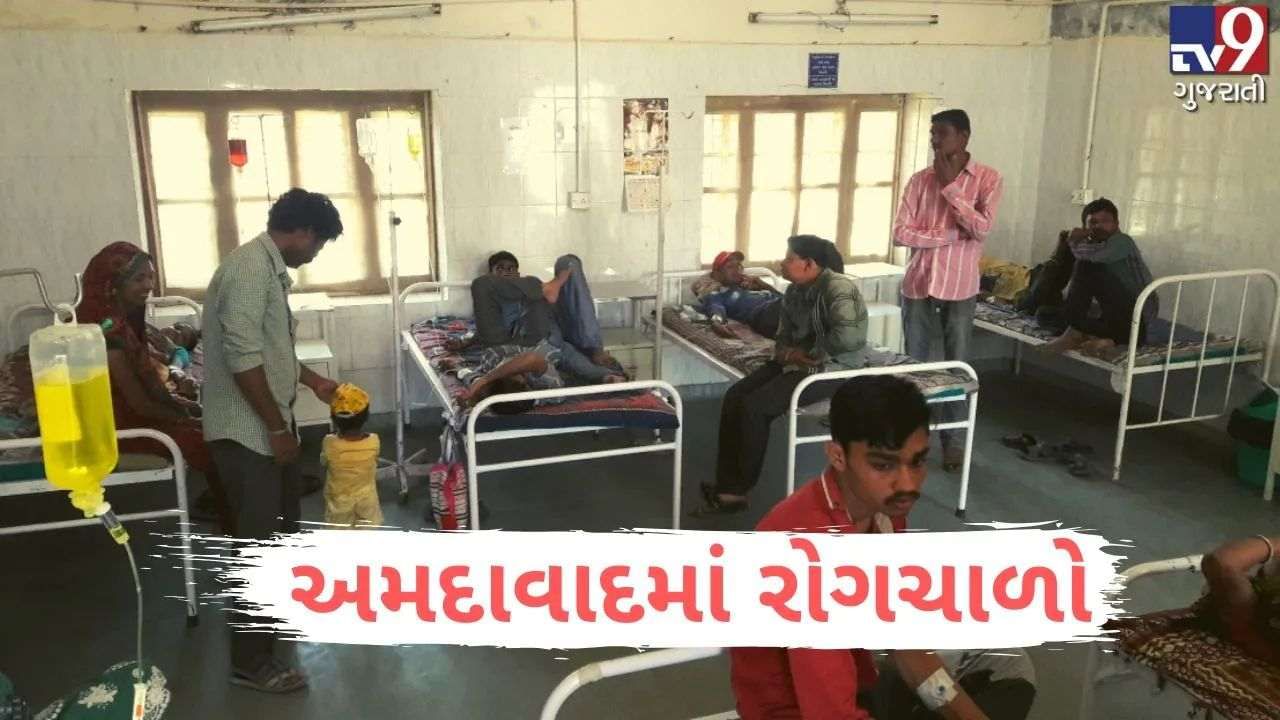 Ahmedabad: શહેરીજનો બીમારીઓની ચપેટમાં, સ્વાઇન ફ્લૂના 14 કેસ, તો મચ્છર અને પાણીજન્ય રોગચાળો પણ વધ્યો