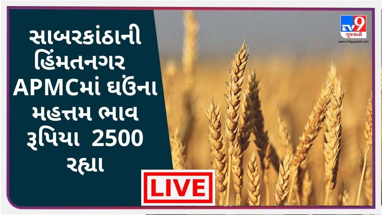 Mandi: સાબરકાંઠાના હિંમતનગર APMCમાં ઘઉંના મહત્તમ ભાવ રૂપિયા 2500 રહ્યા, જાણો જુદા-જુદા પાકના ભાવ