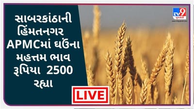 Mandi: સાબરકાંઠાના હિંમતનગર APMCમાં ઘઉંના મહત્તમ ભાવ રૂપિયા 2500 રહ્યા, જાણો જુદા-જુદા પાકના ભાવ Mandi: સાબરકાંઠાના હિંમતનગર APMCમાં ઘઉંના મહત્તમ ભાવ રૂપિયા 2500 રહ્યા, જાણો જુદા-જુદા પાકના ભાવ