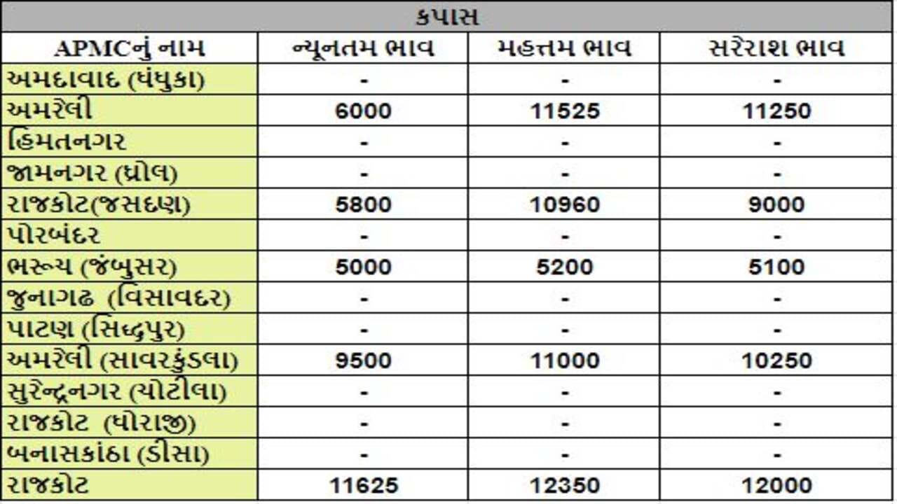 Mandi તાપીના વ્યારાની APMCમાં ચોખાના મહત્તમ ભાવ રૂપિયા 1925 રહ્યા