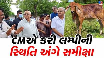Kutch: CM ભુપેન્દ્ર પટેલે લમ્પીના અસરગ્રસ્ત વિસ્તારોની મુલાકાત લીધી, બેઠક યોજી સંક્રમણ રોકવા અંગેની કામગીરીની સમીક્ષા કરી