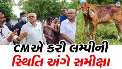 Kutch: CM ભુપેન્દ્ર પટેલે લમ્પીના અસરગ્રસ્ત વિસ્તારોની મુલાકાત લીધી, બેઠક યોજી સંક્રમણ રોકવા અંગેની કામગીરીની સમીક્ષા કરી