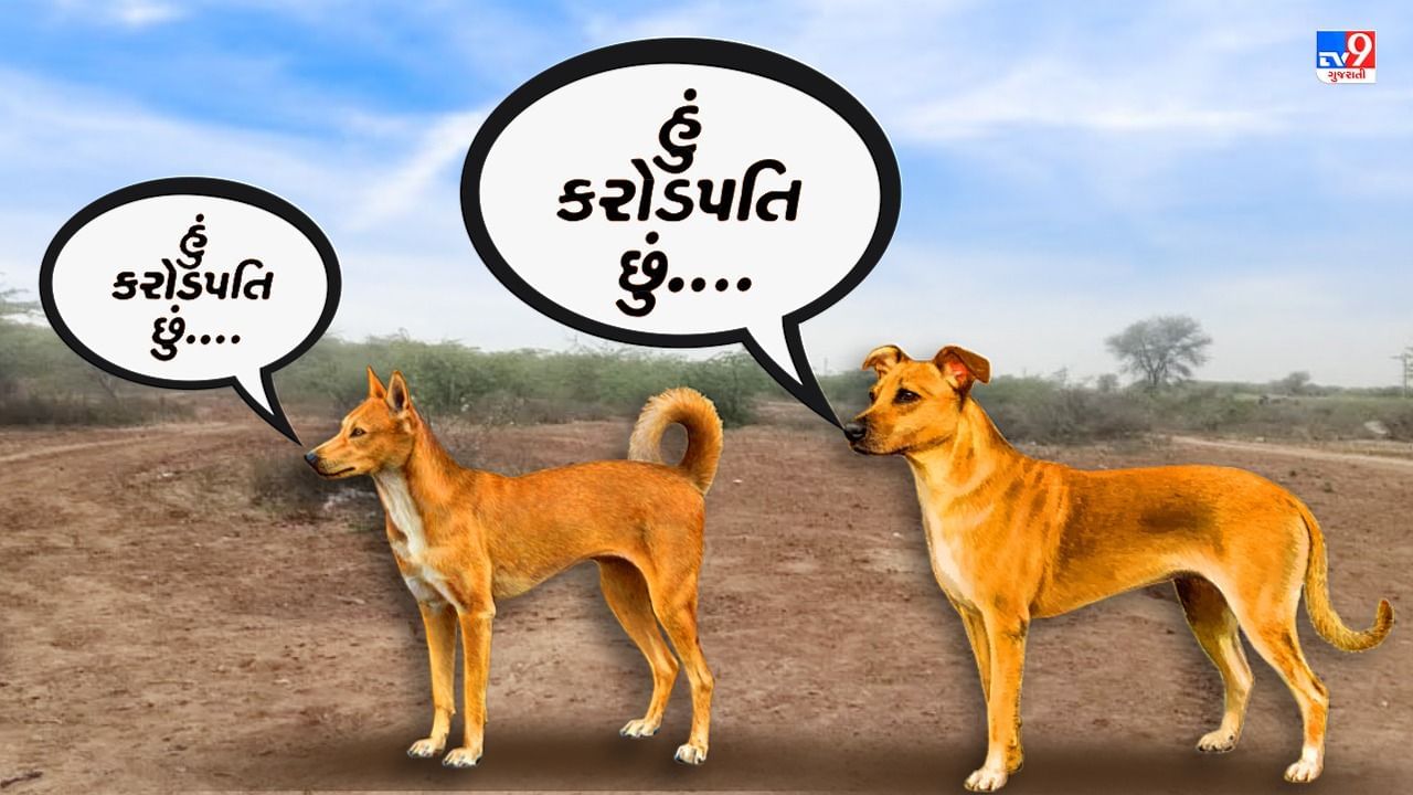 ગુજરાતના આ ગામડામાં કેટલા કરોડપતિ હશે તે તો ખબર નથી પણ કુતરાઓ છે ! વિશ્વાસ ના આવતો હોય તો વાંચો આ True Story