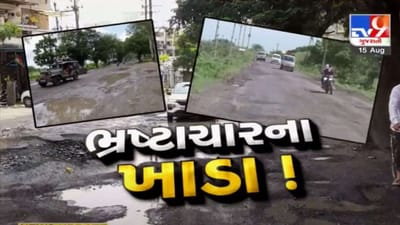 Navsari: વરસાદમાં ધોવાઈ ગયા ડામરના રસ્તા, સમારકામ બાદ પણ વરસાદના બહાના હેઠળ કામ ખોરંભે Navsari: વરસાદમાં ધોવાઈ ગયા ડામરના રસ્તા, સમારકામ બાદ પણ વરસાદના બહાના હેઠળ કામ ખોરંભે