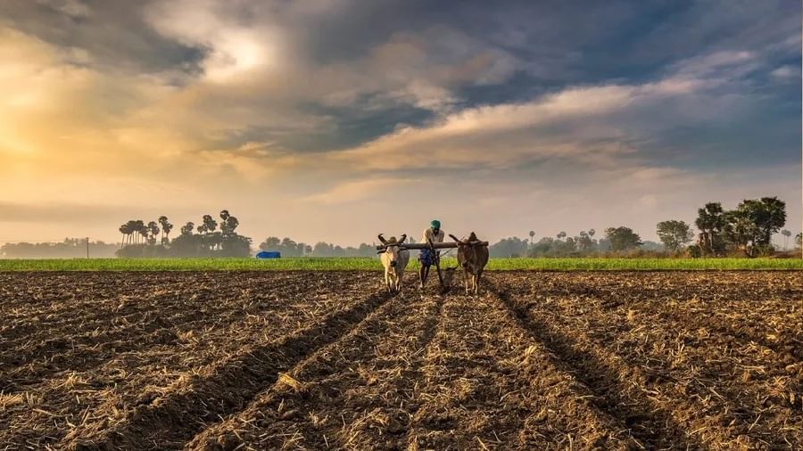 પ્રાકૃતિક ખેતી પદ્ધતિથી ખર્ચ ઘટશે અને નફો વધશે, પાક વૈવિધ્યકરણ દ્વારા ખેડૂતોની આવક વધારવા માટે સરકારના પ્રયાસ