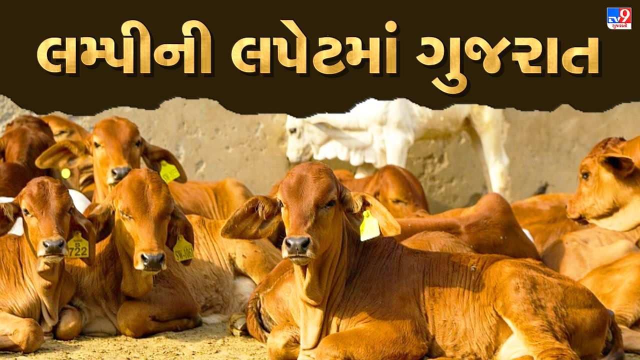 ભાવનગરમાં 2 દિવસમાં 413 પોઝિટિવ કેસ, જોકે 100 ટકા રસીકરણમાં જિલ્લો પ્રથમ