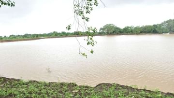 Gujarat માં સ્વાતંત્ર્ય દિવસ-15 મી ઓગસ્ટ સુધીમાં 663 અમૃત સરોવરનો લોકાર્પણ કાર્યક્રમ યોજાશે
