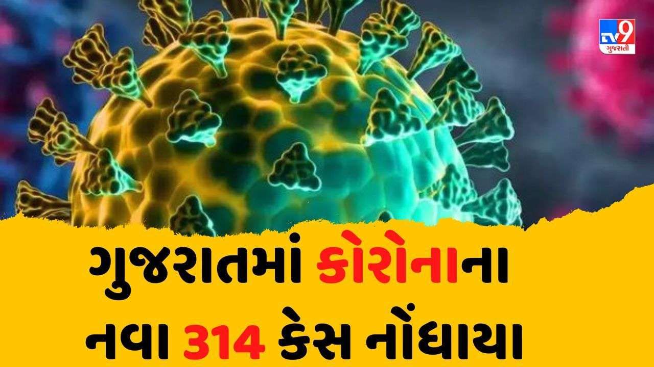 ગુજરાત કોરોનાના નવા 314 કેસ, એક્ટિવ કેસની સંખ્યા 1912એ પહોંચી