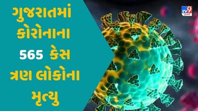 ગુજરાતમાં કોરોનાના નવા 565 કેસ, ત્રણ લોકોના મૃત્યુ, એક્ટિવ કેસ 4205એ પહોંચ્યા