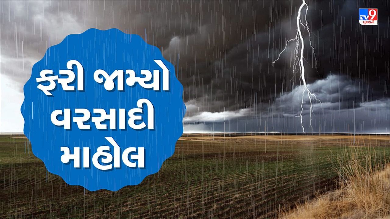 Gujarat Monsoon 2022: રાજ્યના 181 તાલુકામાં વરસ્યો વરસાદ, સૂત્રાપાડામાં સૌથી વધુ 4.5 ઈંચ વરસાદ