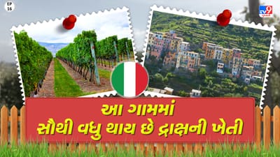 Foreign Villages: આ ગામના લોકો પોતાનું ગુજરાન કઈ રીતે ચલાવે છે? જુઓ વીડિયો