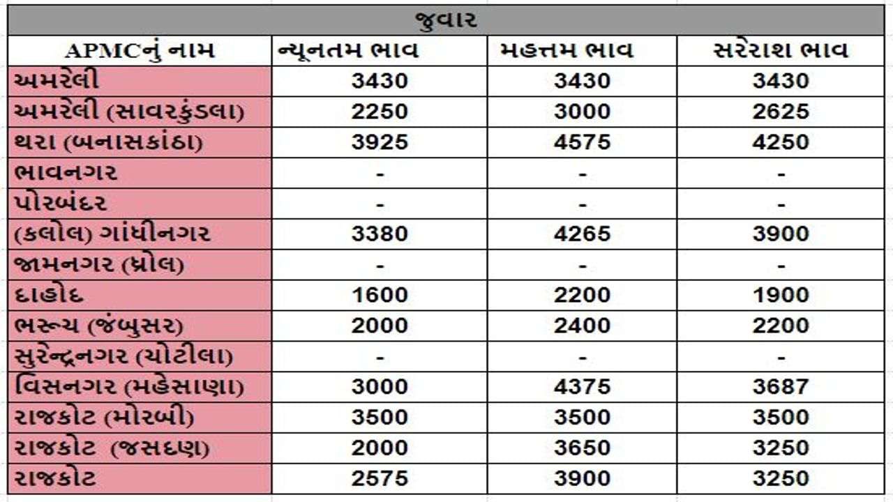 Mandi: The maximum price of groundnut in Jasdan APMC of Rajkot was Rs 7200, know the prices of different crops