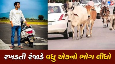 Junagadh: રખડતા ઢોરનો આતંક, આખલાની હટફેટે પરિવારના એકના એક પુત્રનો ભોગ લેવાયો