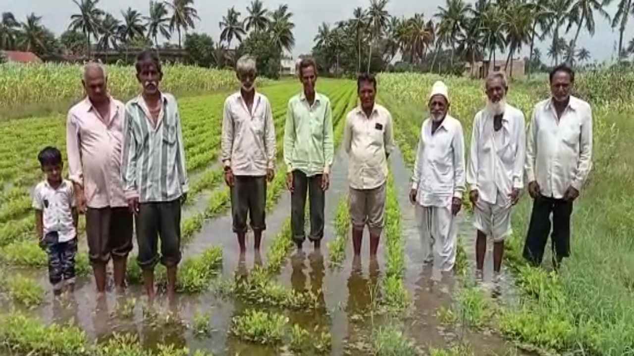 Junagadh: ખેતરોમાં પાણી ભરાવાને કારણે ખેડૂતો બન્યા લીલા દુષ્કાળનો ભોગ