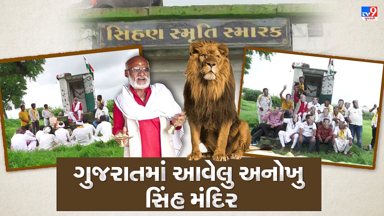 ગુજરાતમાં આ જગ્યા પર સિંહની થાય છે પૂજા અને વંચાય છે સિંહ ચાલીસા, જાણો વિશ્વ સિંહ દિવસ પરની આ ખાસ માહિતિ