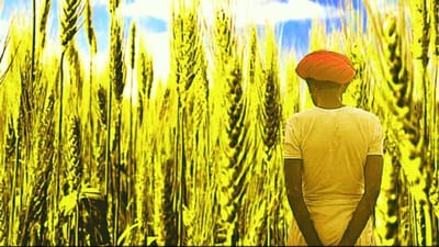 મરાઠવાડા કૃષિ સંકટનો સામનો કરી રહ્યું છે ! 8 મહિનામાં 600 ખેડૂતોએ આત્મહત્યા કરી