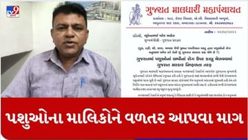 ગુજરાત માલધારી પંચાયતે CM ભુપેન્દ્ર પટેલને લખ્યો પત્ર, લમ્પી વાયરસથી મૃત પશુઓના માલિકોને વળતર આપવા માગ