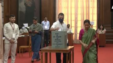 Vice President Election: રાહુલ ગાંધી સહિત ઘણા વિપક્ષી નેતાઓએ ઉપરાષ્ટ્રપતિની ચૂંટણીમાં પોતાનો મત આપ્યો