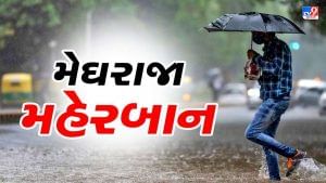 Monsoon 2022: રાજ્યમાં આગામી પાંચ દિવસ સામાન્ય વરસાદની આગાહી, અનેક જીલ્લામાં વરસ્યો વરસાદ 