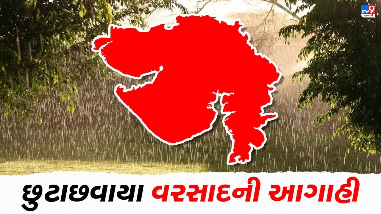વડોદરા, વલસાડ અને તાપીમાં છૂટાછવાયા ઝાપટાંની આગાહી તો અન્ય જિલ્લામાં અકળાવી શકે છે બફારો, જાણો તમારા શહેરનું હવામાન