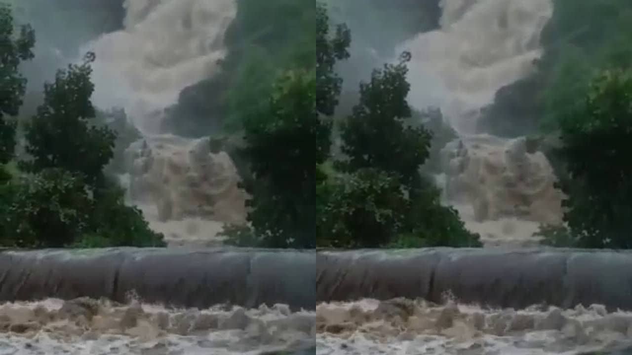 Arvalli: ભારે વરસાદ બાદ ભિલોડા પંથકમાં સુનસર ધોધ જીવંત બન્યો, પ્રવાસીઓને ધોધ પર ન જવા સૂચના આપી