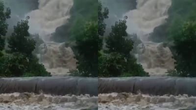 Arvalli: ભારે વરસાદ બાદ ભિલોડા પંથકમાં સુનસર ધોધ જીવંત બન્યો, પ્રવાસીઓને ધોધ પર ન જવા સૂચના આપી