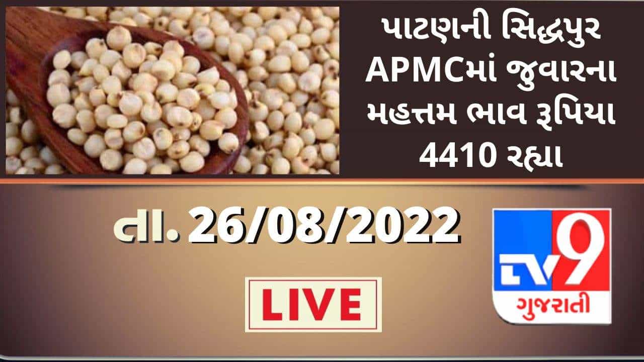 Mandi:પાટણની સિદ્ધપુર APMCમાં જુવારના મહત્તમ ભાવ રૂપિયા 4410 રહ્યા,જાણો જુદા-જુદા પાકના ભાવ