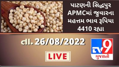 Mandi:પાટણની સિદ્ધપુર APMCમાં જુવારના મહત્તમ ભાવ રૂપિયા 4410 રહ્યા,જાણો જુદા-જુદા પાકના ભાવ Mandi:પાટણની સિદ્ધપુર APMCમાં જુવારના મહત્તમ ભાવ રૂપિયા 4410 રહ્યા,જાણો જુદા-જુદા પાકના ભાવ