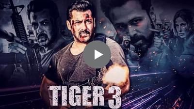 ફરી એકવાર આવી રહ્યો છે ટાઈગર, Tiger 3 માં જોવા મળશે સલમાન-કેટરિનાની કેમેસ્ટ્રી