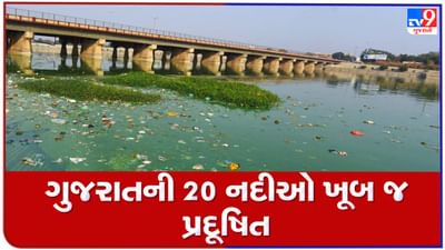 ગુજરાતની 20 નદીઓ ખૂબ જ પ્રદૂષિત, જળ સંશાધન મંત્રાલયના રિપોર્ટમાં ખુલાસો