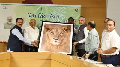 વિશ્વ સિંહ દિવસ: 7 જિલ્લાના 15 લાખ વિદ્યાર્થીઓ દ્વારા ઉજવણી, સિંહના સંરક્ષણ માટેના શપથ લેવડાવાયા, CM ભૂપેન્દ્ર પટેલ ઓનલાઈન જોડાયા