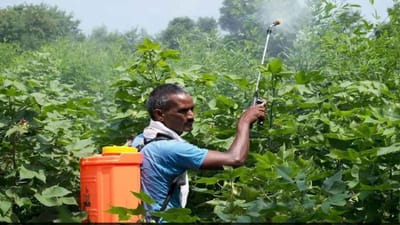 ભારતમાં કૃષિ સ્ટાર્ટઅપ્સની વધતી સંખ્યા, ગ્રામીણ વિસ્તારોમાં રોજગારીની તકો વધશે