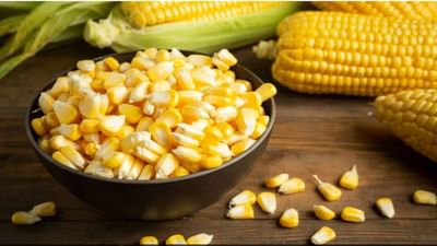 મકાઈ એક સુપરફૂડ છે, જાણો તેને ખાવાની સાચી રીત સેલેબ ન્યુટ્રિશનિસ્ટ પાસેથી