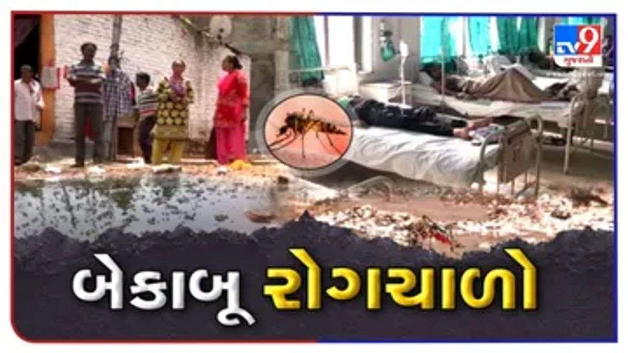 Ahmedabad: શહેરમાં મચ્છરજન્ય અને પાણીજન્ય રોગચાળો વકર્યો, સરકારી અને ખાનગી હોસ્પિટલો દર્દીઓથી ઉભરાઇ