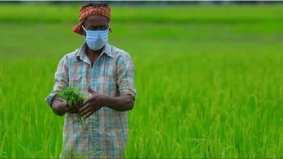 આ રાજ્યમાં ખેડૂતોના ખાતામાં પૈસા આવ્યા, યોજના હેઠળ કુલ 1750 કરોડ રૂપિયા ખર્ચાયા