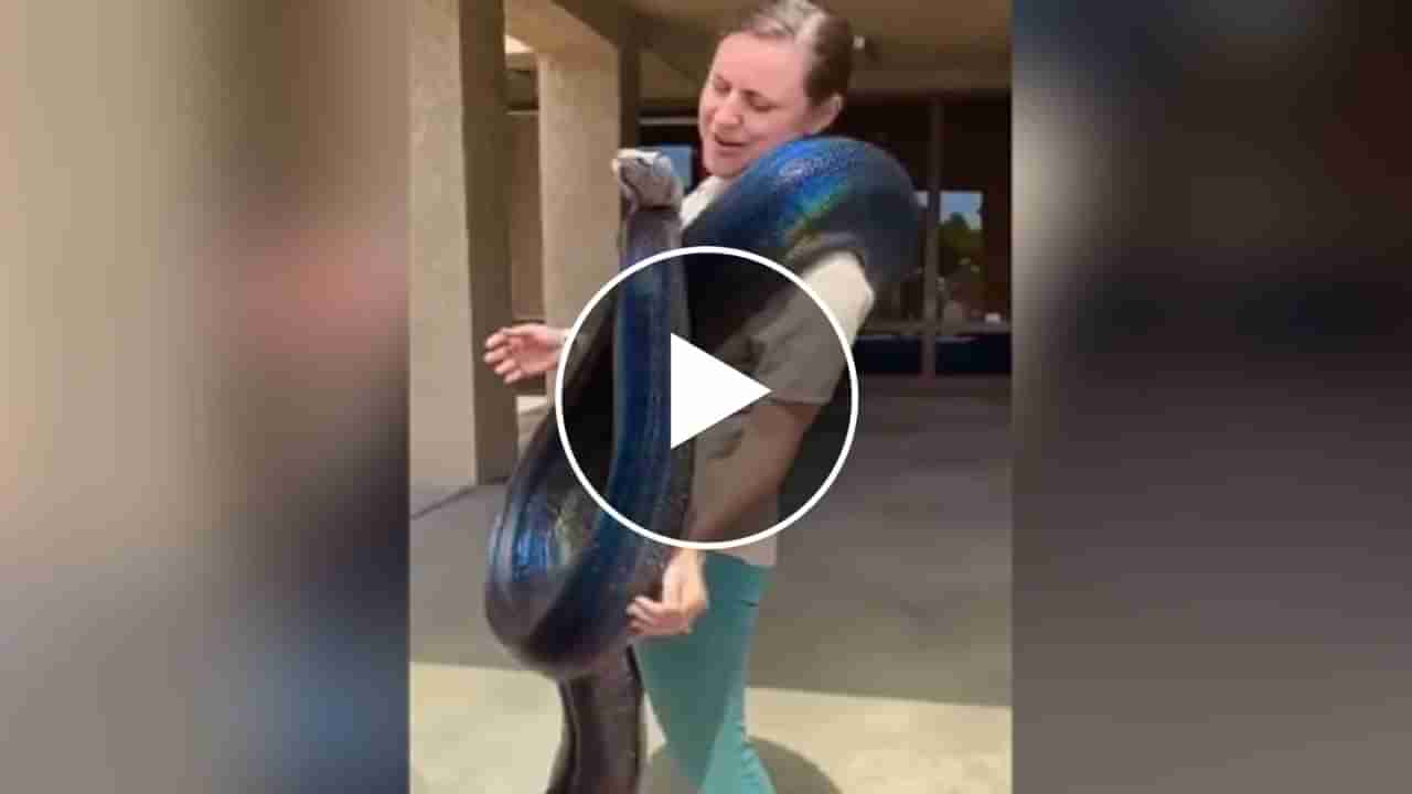Shocking Viral Video : મહિલાએ ગળામાં લપેટ્યો વિશાળકાય અજગર, વીડિયો જોઈને લોકોએ કહ્યું- Lady Tarzan