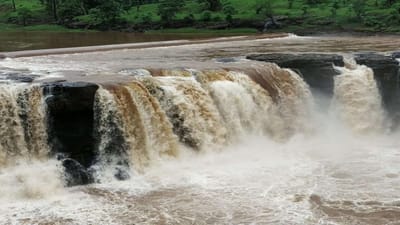 Dang : લીલાછમ ગાઢ જંગલ અને નયન રમ્ય ધોધ ચોમાસામાં પર્યટકોને આકર્ષી રહ્યા છે, અહીંની મુલાકાત સ્વર્ગ સમાન માનવામાં આવે છે